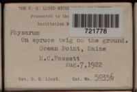 Image Associated With the Occurence